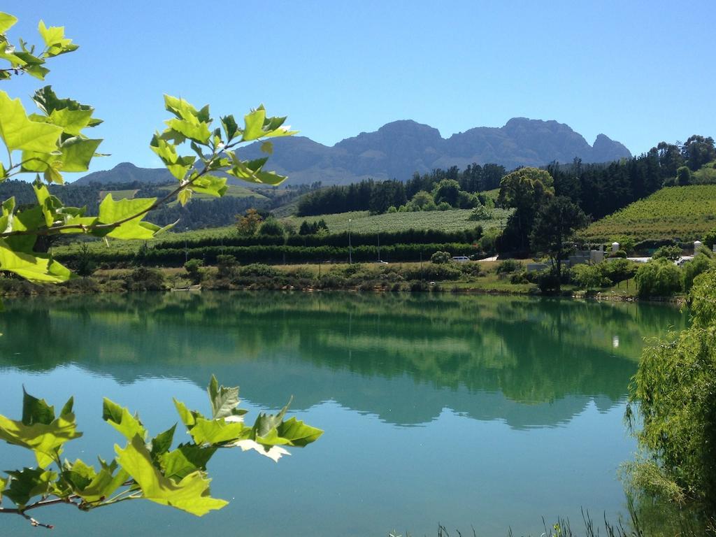 Fynbos Feniks Apartment Stellenbosch Kültér fotó